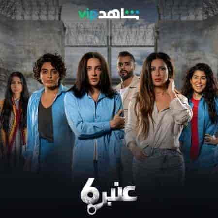 مسلسل عنبر 6 الموسم الاول